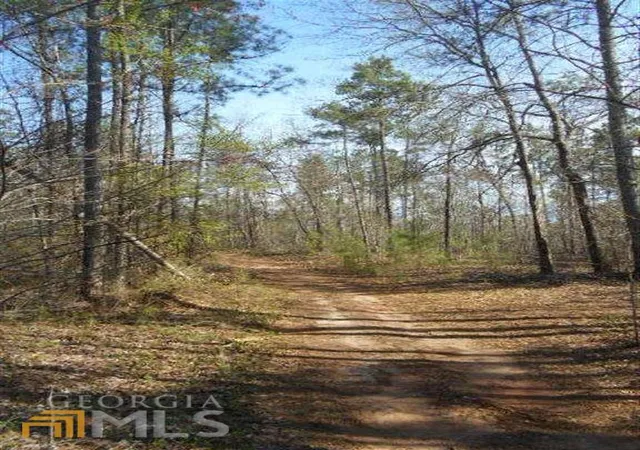 Photo 4 of Land for sale at 0 Nebo Rd, Dallas, GA 30141 | MLS# 10013549 | Listing updated on 2026-06-04