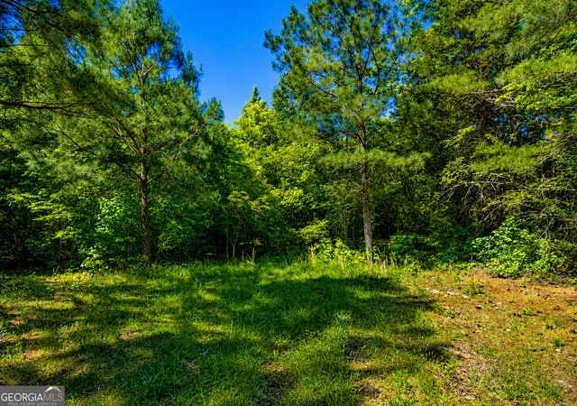 Homes for sale in Lafayette, GA | 5 Acres Stanfield Dr, Lafayette, GA 30728 | MLS# 10771251