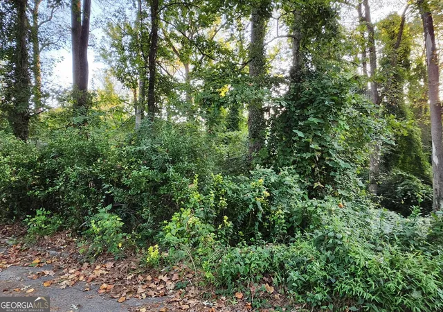 3rd image of 523 Spruce Dr, Pine Lake, GA 30072 | MLS# 10719747