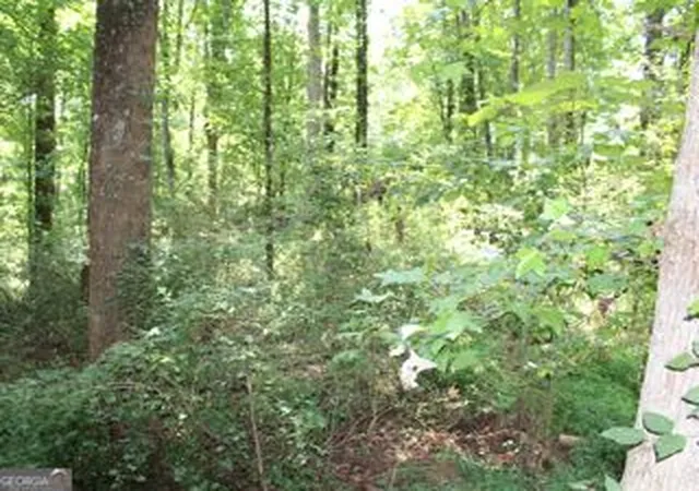 Photo 4 of Land for sale at 3575 Pleasant Grove Rd, Cumming, GA 30028 | MLS# 10831167 | Listing updated on 2026-10-08