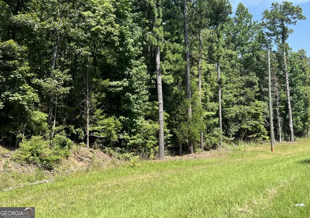 1st image of 0 Davidson Road, West Point, GA 31833 | MLS# 10827104