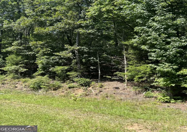 2nd image of 0 Davidson Road, West Point, GA 31833 | MLS# 10827104