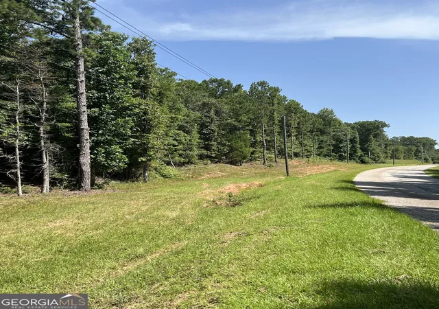 4th image of 0 Davidson Road, West Point, GA 31833 | MLS# 10827104