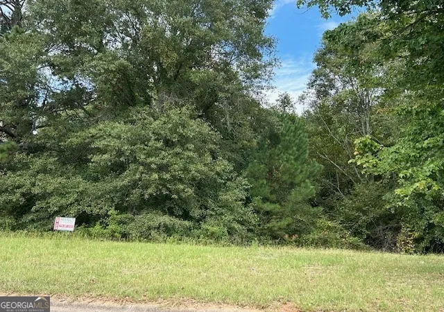 1st image of 109 Burleyson Dr, Mcdonough, GA 30253 | MLS# 10793919