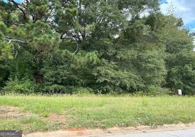 2nd image of 109 Burleyson Dr, Mcdonough, GA 30253 | MLS# 10793919