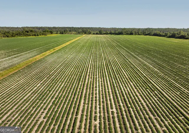 Photo 3 of Land for sale at 301 Jerry Sutton Rd, Alapaha, GA 31622 | MLS# 10831911 | Listing updated on 2026-09-07