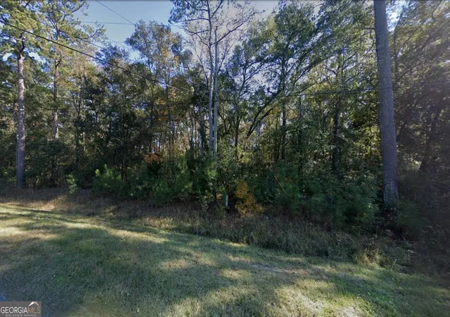 Photo 2 of Land for sale at 395 Lake Rosalind Dr, Midway, GA 31320 | MLS# 10833528 | Listing updated on 2026-09-23