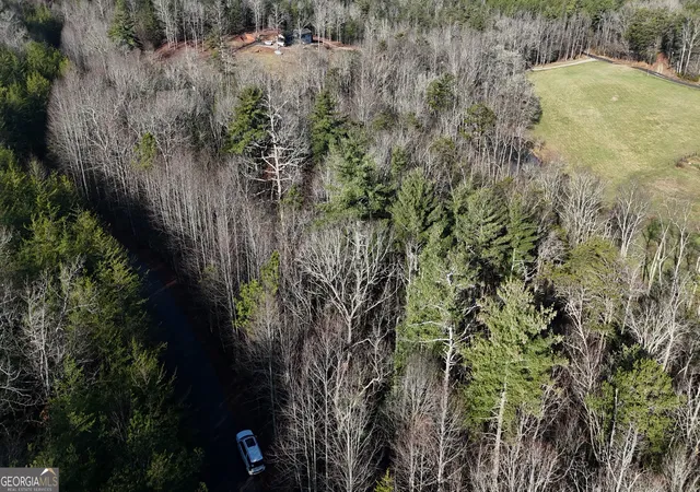 2nd image of Lot 10 Gold Ditch Rd, Cleveland, GA 30528 | MLS# 10828405
