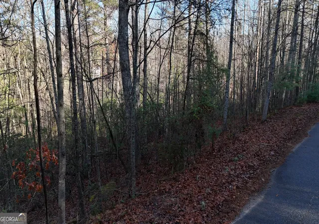 3rd image of Lot 10 Gold Ditch Rd, Cleveland, GA 30528 | MLS# 10828405