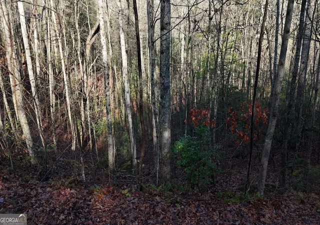 4th image of Lot 10 Gold Ditch Rd, Cleveland, GA 30528 | MLS# 10828405