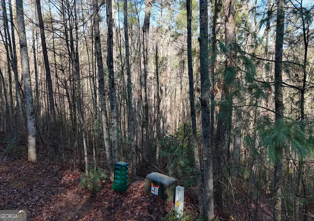 5th image of Lot 10 Gold Ditch Rd, Cleveland, GA 30528 | MLS# 10828405
