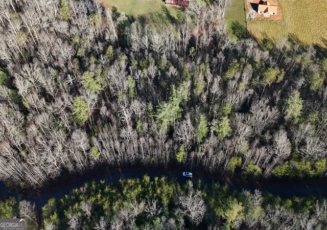 6th image of Lot 10 Gold Ditch Rd, Cleveland, GA 30528 | MLS# 10828405