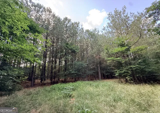 Homes for sale in Lexington, GA | 2 Bethesda Church Rd, Lexington, GA 30648 | MLS# 10785524