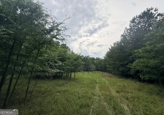 Homes for sale in Lexington, GA | 2 Bethesda Church Rd, Lexington, GA 30648 | MLS# 10785524