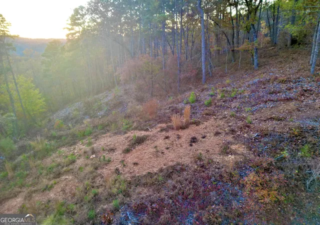 2nd image of 0 Canoe Way #LOT 266, Talking Rock, GA 30175 | MLS# 10644356