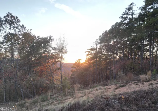 3rd image of 0 Canoe Way #LOT 266, Talking Rock, GA 30175 | MLS# 10644356