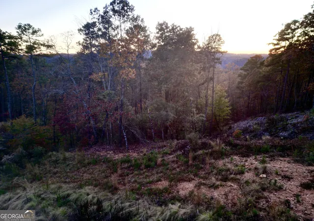 4th image of 0 Canoe Way #LOT 266, Talking Rock, GA 30175 | MLS# 10644356