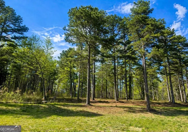Homes for sale in Martin, GA | 575 Hardy Rd, Martin, GA 30557 | MLS# 10737574