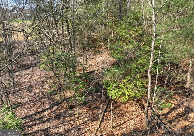 Photo 2 of Land for sale at Lot 233 Ridge Pointe Way, Blairsville, GA 30512 | MLS# 10724543 | Listing updated on 2026-04-17