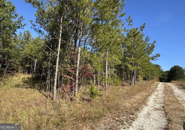 Photo 3 of Land for sale at 0 Crystal Dr, Elberton, GA 30635 | MLS# 10400125 | Listing updated on 2026-06-29