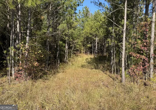 Photo 3 of Sale Pending at 0 Crystal Dr, Elberton, GA 30635 | MLS# 10400125 | Listing updated on 2026-10-08