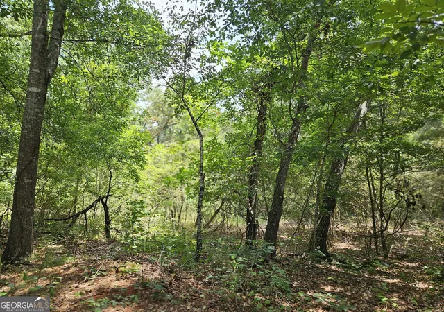 2nd image of Lot 4 June Ivey Rd, Bethlehem, GA 30620 | MLS# 10813187