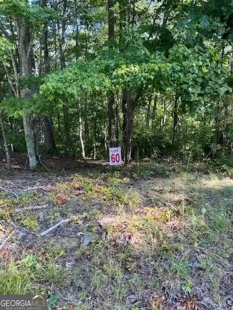 Photo 1 of Land for sale at Lts 61 & 62 Honeysuckle Way, Ellijay, GA 30540 | MLS# 10855881 | Listing updated on 2026-10-14