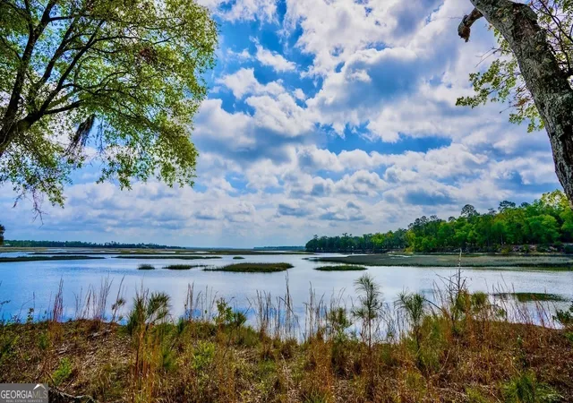 1st image of 0 Simons Bluff Rd, Woodbine, GA 31569 | MLS# 10371213