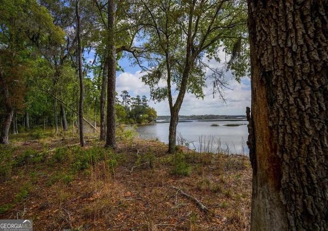 2nd image of 0 Simons Bluff Rd, Woodbine, GA 31569 | MLS# 10371213