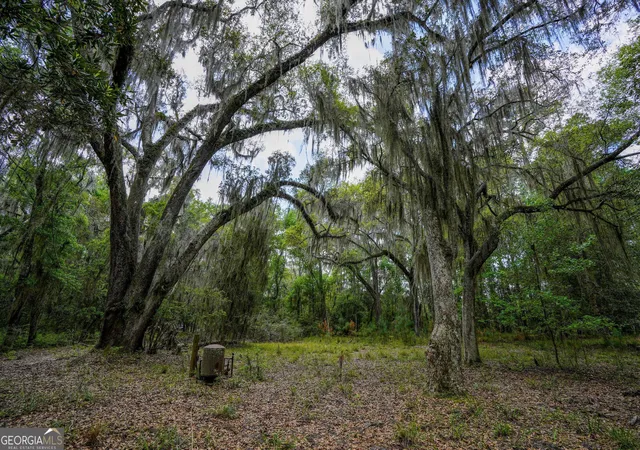 3rd image of 0 Simons Bluff Rd, Woodbine, GA 31569 | MLS# 10371213