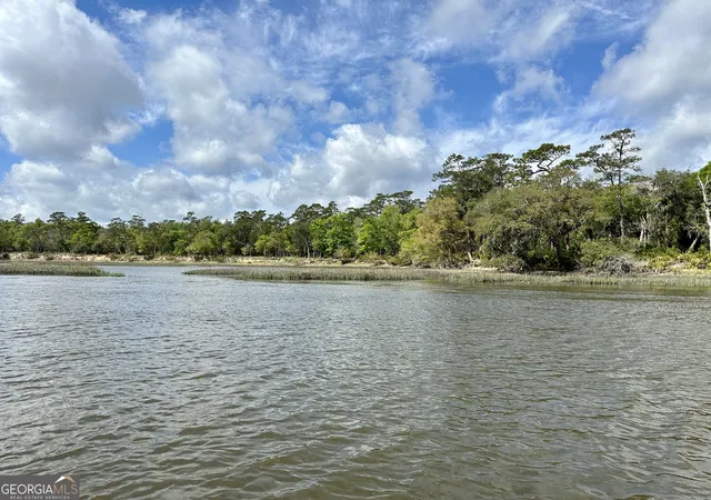 4th image of 0 Simons Bluff Rd, Woodbine, GA 31569 | MLS# 10371213