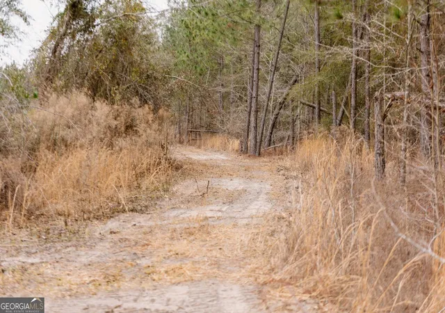 1st image of 0 Bunn Store Rd #TRACT 2, Midville, GA 30441 | MLS# 10809317