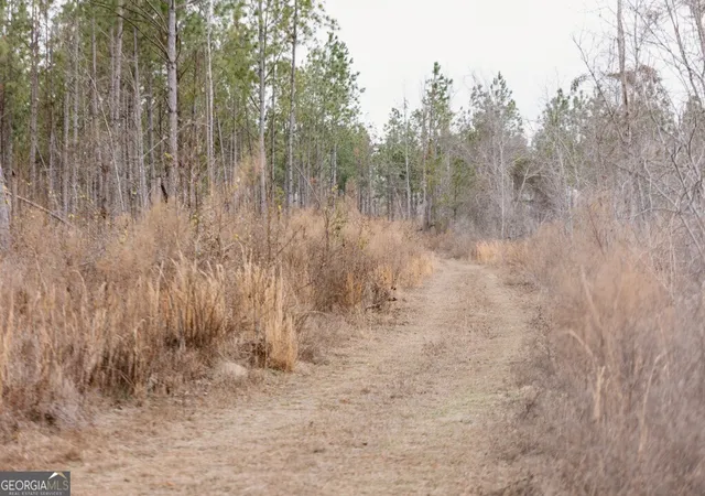 5th image of 0 Bunn Store Rd #TRACT 2, Midville, GA 30441 | MLS# 10809317