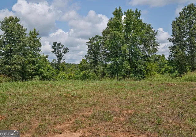 Homes for sale in Culloden, GA | 39 Askin Pl, Culloden, GA 31016 | MLS# 10802392