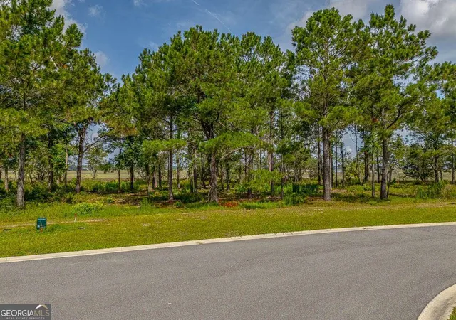 Photo 3 of Land for sale at Lot 98 Wards Way, Waverly, GA 31565 | MLS# 10777450 | Listing updated on 2026-08-21