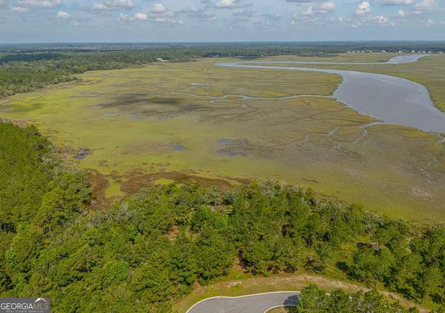 Photo 4 of Land for sale at Lot 98 Wards Way, Waverly, GA 31565 | MLS# 10777450 | Listing updated on 2026-08-21