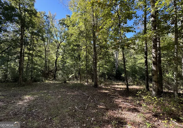 Photo 3 of Land for sale at 200 W Ac Ellis Rd, Griffin, GA 30223 | MLS# 10683385 | Listing updated on 2026-05-17