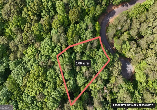 Land for sale at 0 Terry Ct, Clarkesville, GA 30523 | MLS# 10832887
