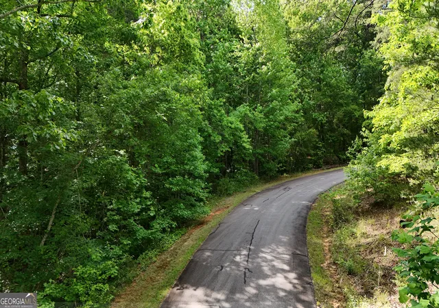 Photo 2 of Land for sale at 0 Terry Ct, Clarkesville, GA 30523 | MLS# 10832887 | Listing updated on 2026-09-22