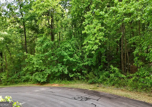 Photo 3 of Land for sale at 0 Terry Ct, Clarkesville, GA 30523 | MLS# 10832887 | Listing updated on 2026-09-22