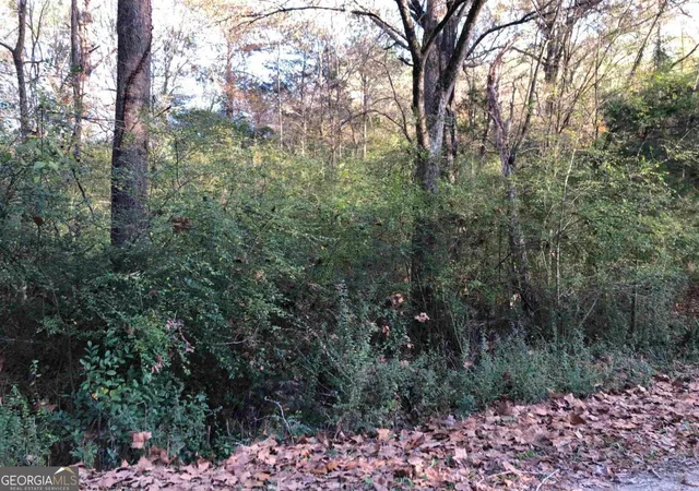 Photo 3 of Land for sale at 0 Monticello Rd, Eatonton, GA 31024 | MLS# 10429639 | Listing updated on 2026-01-22