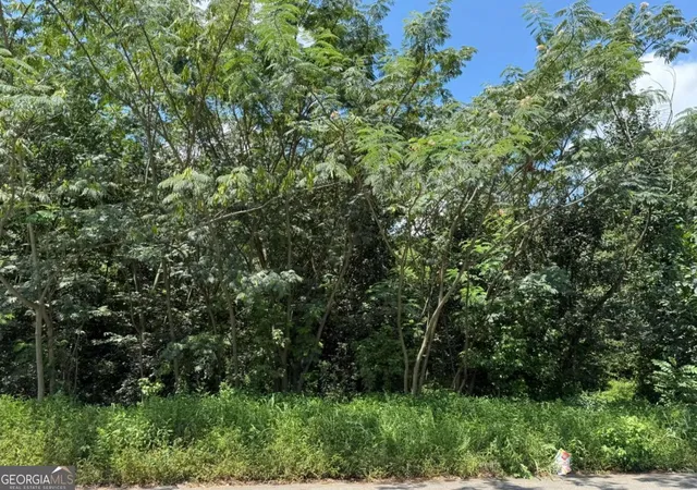 Photo 2 of Land for sale at 0 Beeler Dr Sw, Atlanta, GA 30315 | MLS# 10592903 | Listing updated on 2026-08-06