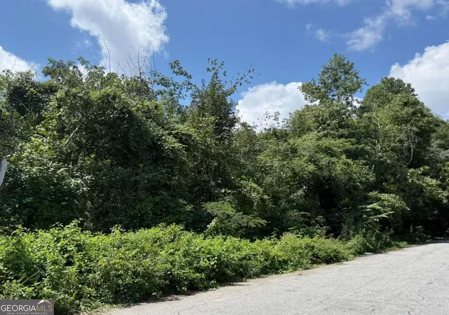Photo 3 of Land for sale at 0 Beeler Dr Sw, Atlanta, GA 30315 | MLS# 10592903 | Listing updated on 2026-08-06
