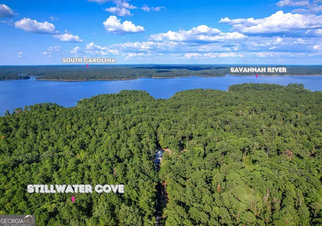 2nd image of 1313 Shimmering Water Cvs, Tignall, GA 30668 | MLS# 10813609
