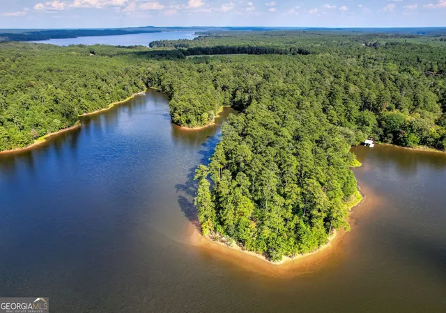 5th image of 1313 Shimmering Water Cvs, Tignall, GA 30668 | MLS# 10813609