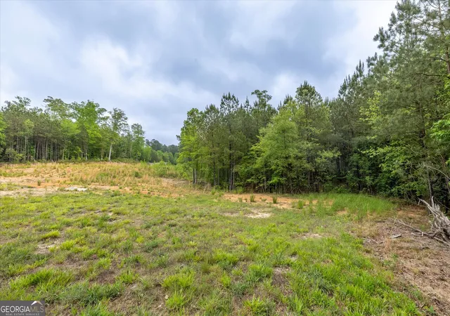 1st image of 51 Paul Harris Rd, Dallas, GA 30157 | MLS# 10740658