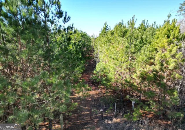 Homes for sale in Elberton, GA | 0 Jaudon Rd #(22.19 ACRE LOT), Elberton, GA 30635 | MLS# 10804239