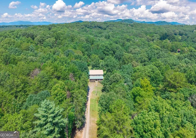2nd image of 495 Dockery Ln, Mineral Bluff, GA 30559 | MLS# 10826825