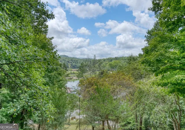 2nd image of 61 Deerfield Trl #1, Blairsville, GA 30512 | MLS# 10812433