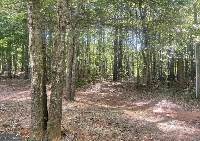 2nd image of 0 Fincher Rd, Covington, GA 30016 | MLS# 10734265